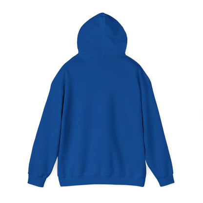 Denali National Park Camping Bear Hiking Hoodie - NPT011ALL