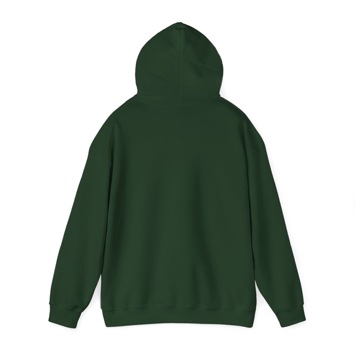 Denali National Park Camping Bear Hiking Hoodie - NPT011ALL