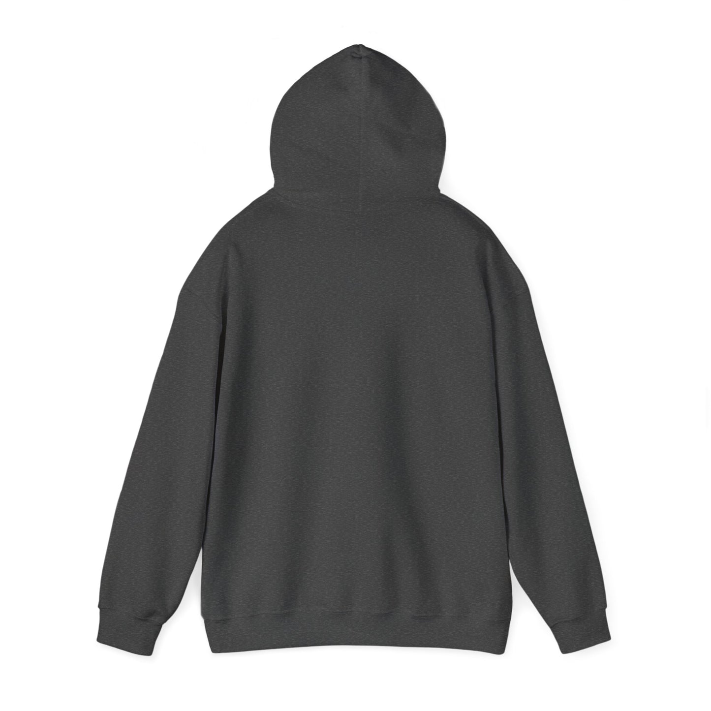 Yellowstone National Park Hiking Hoodie - NP017ALL