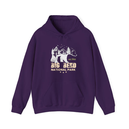 Vintage Big Bend National Park Camping Hoodie - NP060ALL