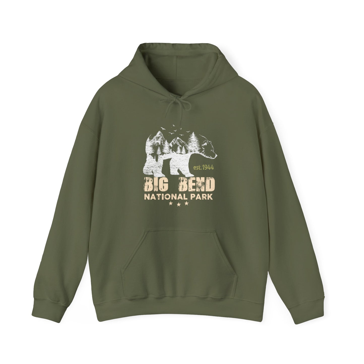 Vintage Big Bend National Park Camping Hoodie - NP060ALL