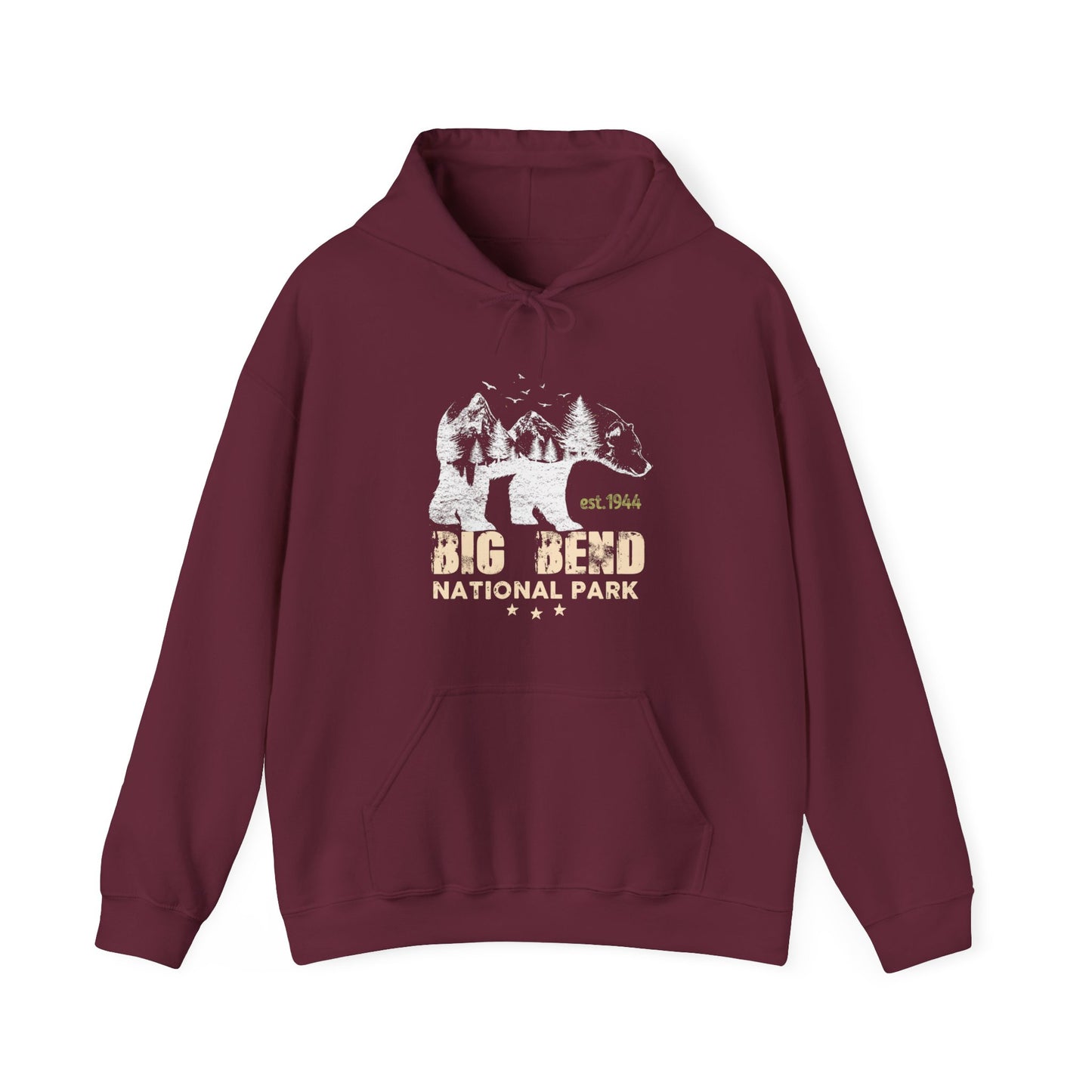 Vintage Big Bend National Park Camping Hoodie - NP060ALL