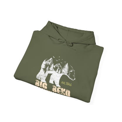 Vintage Big Bend National Park Camping Hoodie - NP060ALL